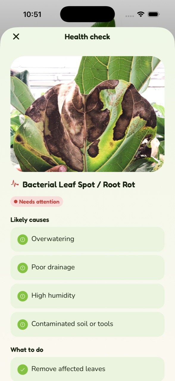 PawBloom AI health check diagnosing bacterial leaf spot with likely causes and next steps